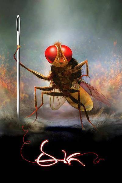 Eega Hindi Dubbed Movie Poster (2012)