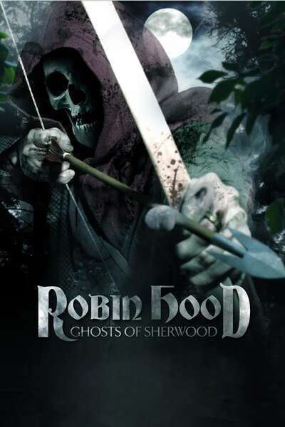 Robin Hood: Ghosts of Sherwood Hindi Dubbed Movie Poster (2012)