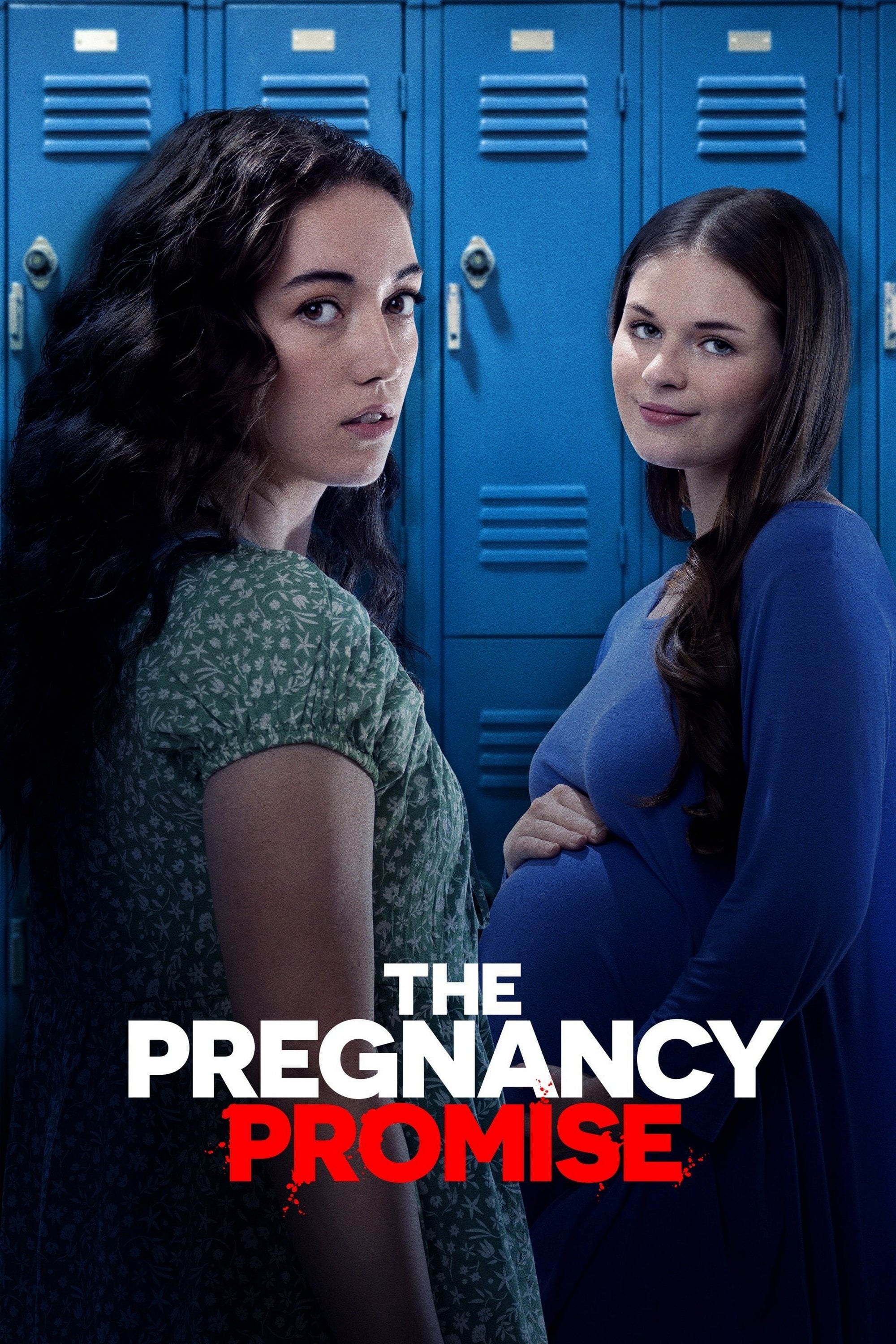 The Pregnancy Promise Hindi Dubbed Movie Poster (2023)