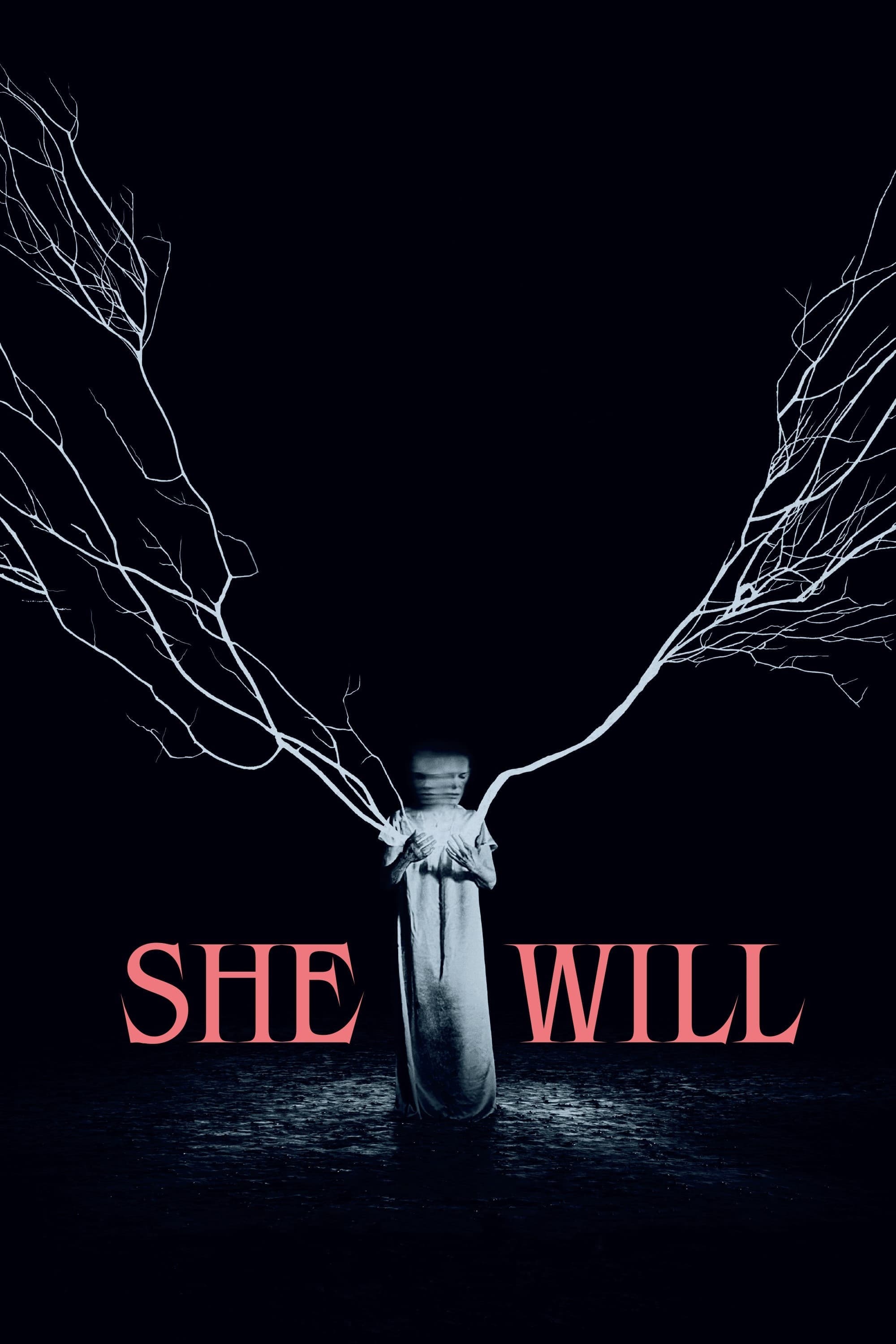 She Will Hindi Dubbed Movie Poster (2022)
