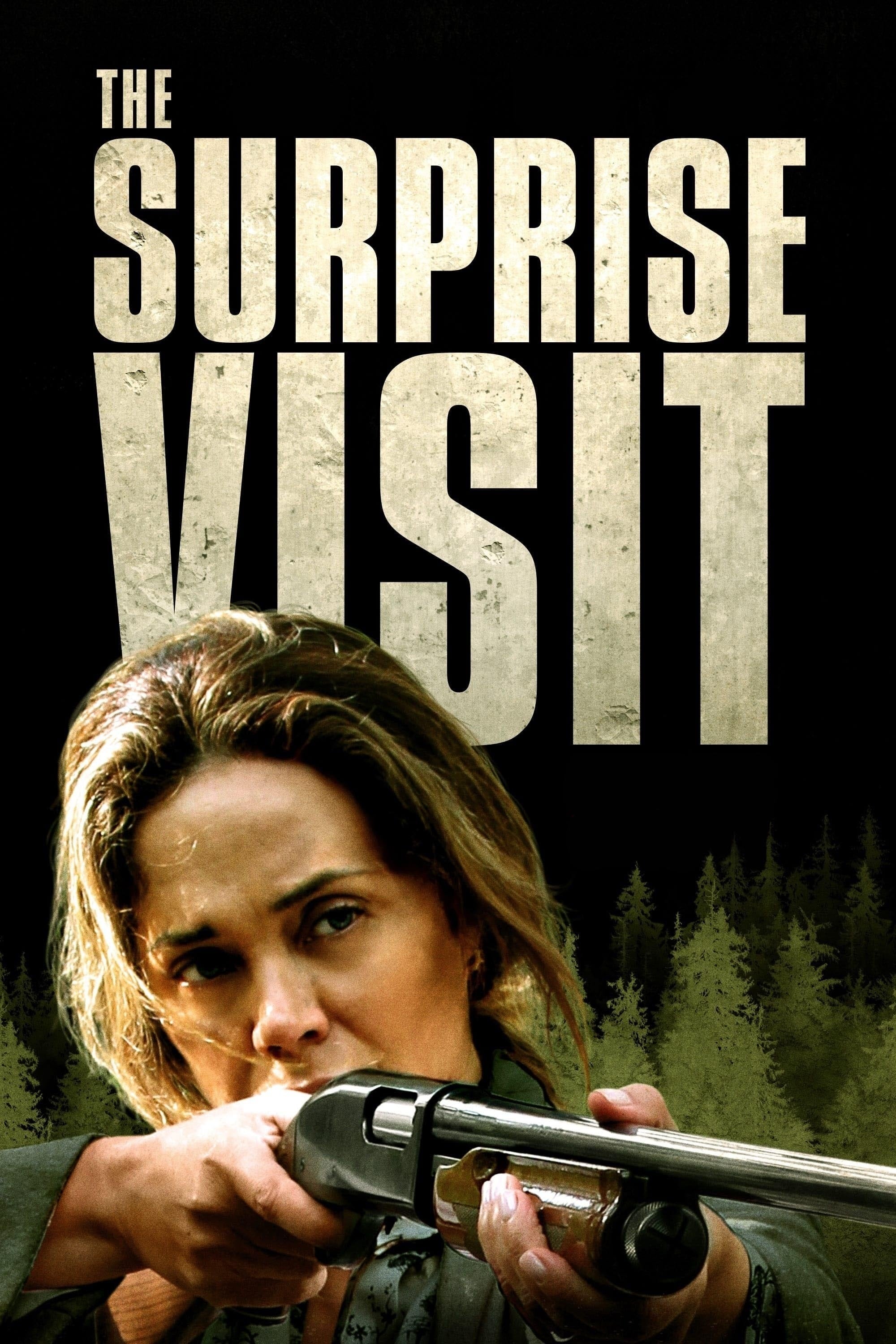 The Surprise Visit Hindi Dubbed Movie Poster (2022)