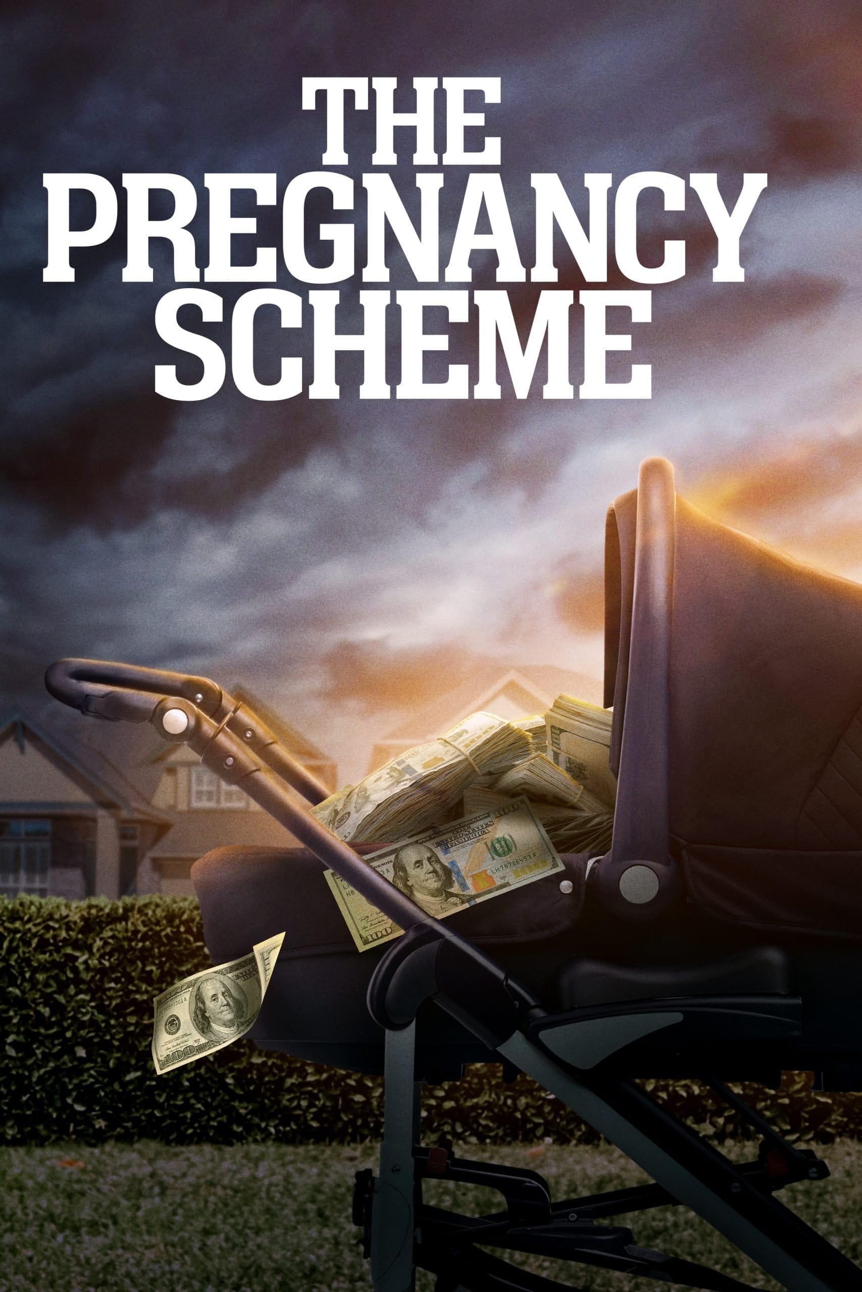 The Pregnancy Scheme Hindi Dubbed Movie Poster (2023)