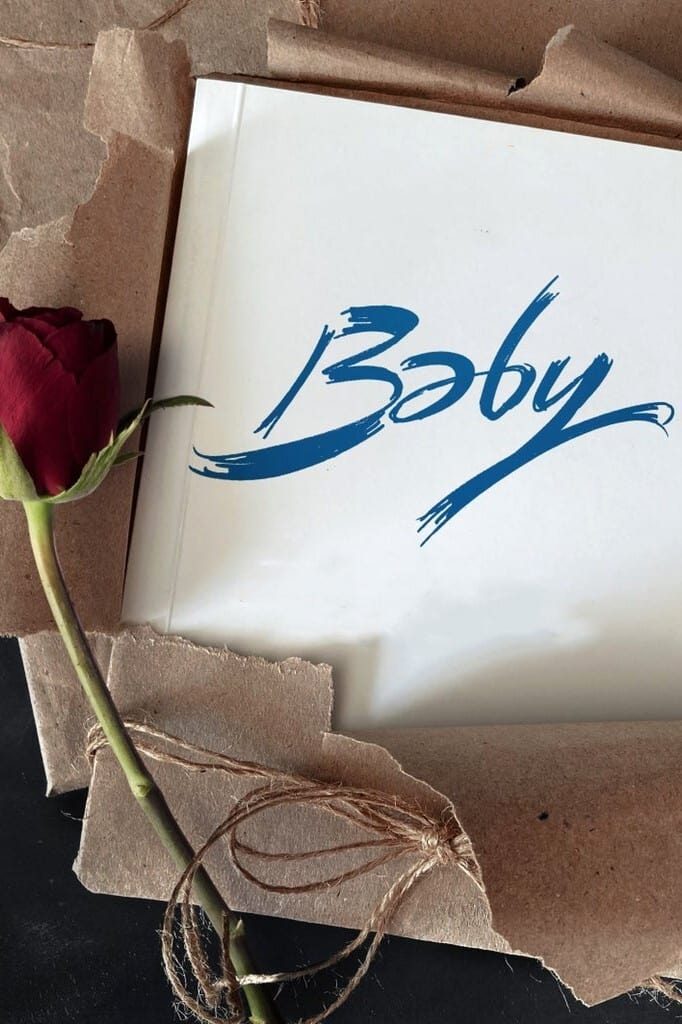 Baby Hindi Dubbed Movie Poster (2023)