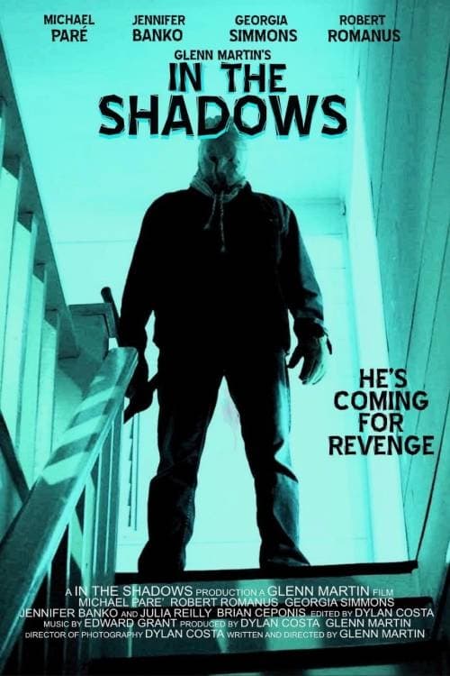 In The Shadows Hindi Dubbed Movie Poster (2023)
