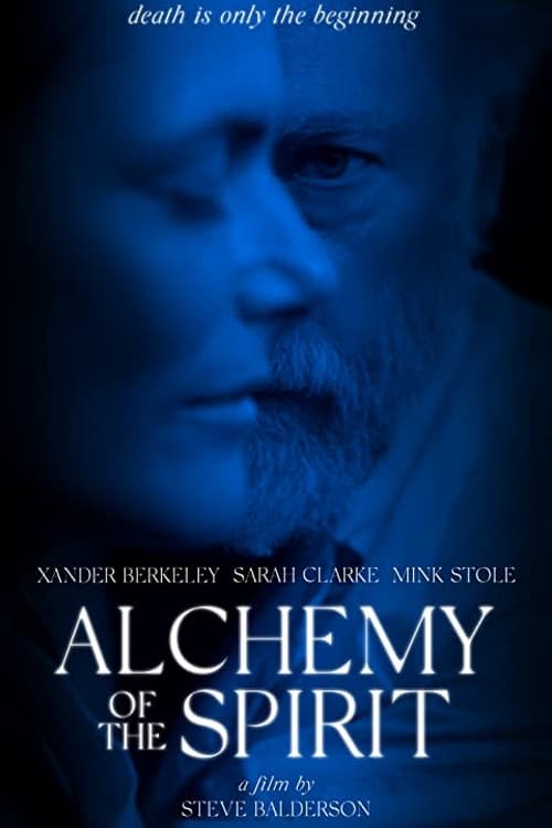 Alchemy of the Spirit Hindi Dubbed Movie Poster (2022)