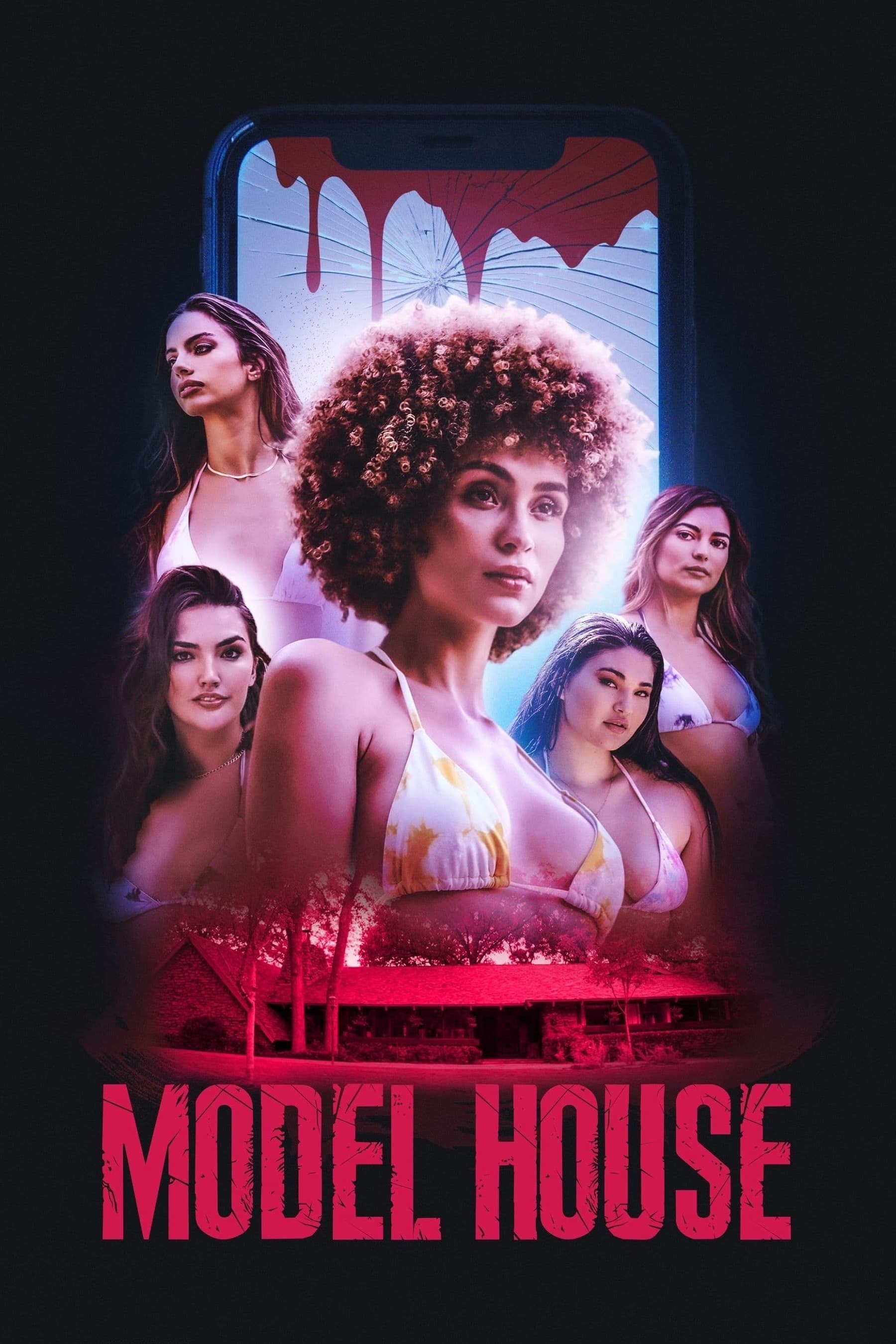 Model House Hindi Dubbed Movie Poster (2024)