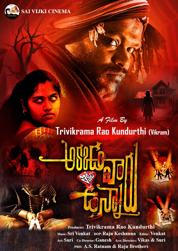 Akkada Varu Ikkada Unnaru Hindi Dubbed Movie Poster (2024)