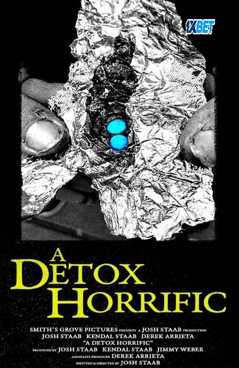 A Detox Horrific Hindi Dubbed Movie Poster (2024)