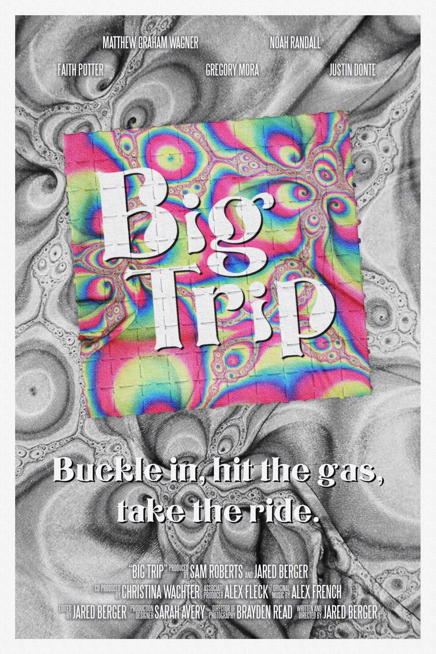 Big Trip Hindi Dubbed Movie Poster (2024)