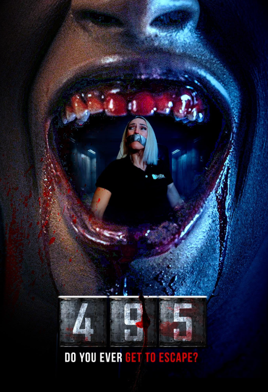 495 Hindi Dubbed Movie Poster (2025)