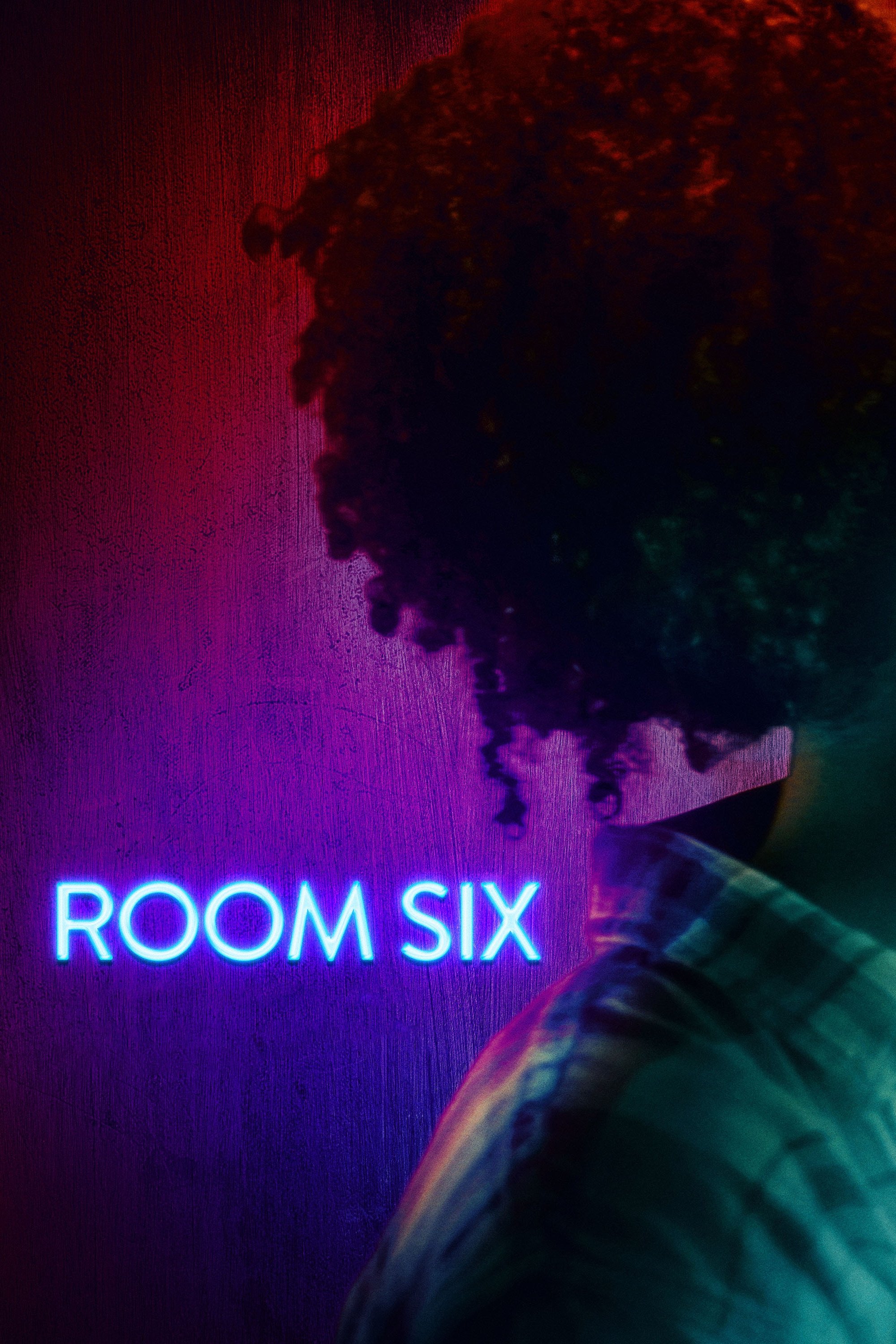 Room Six Hindi Dubbed Movie Poster (2024)