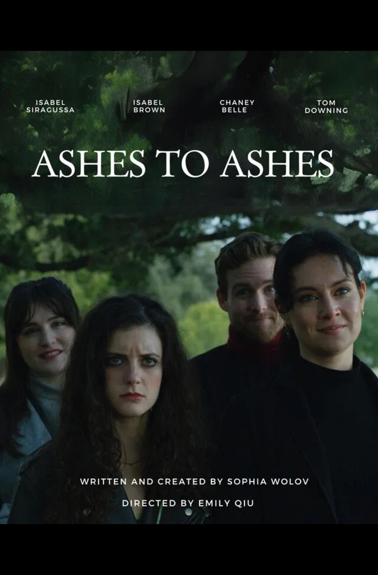 Ashes to Ashes Hindi Dubbed Movie Poster (2025)