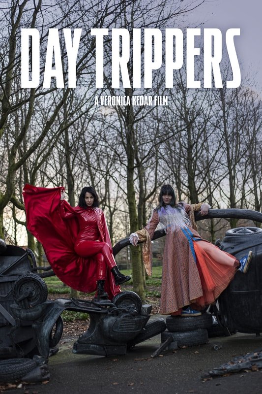 Day Trippers Hindi Dubbed Movie Poster (2024)