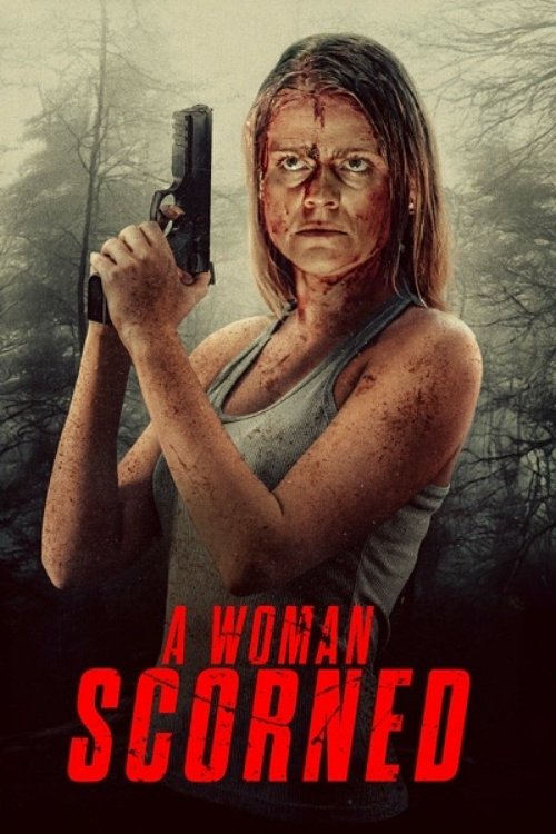 A Woman Scorned Hindi Dubbed Movie Poster (2025)
