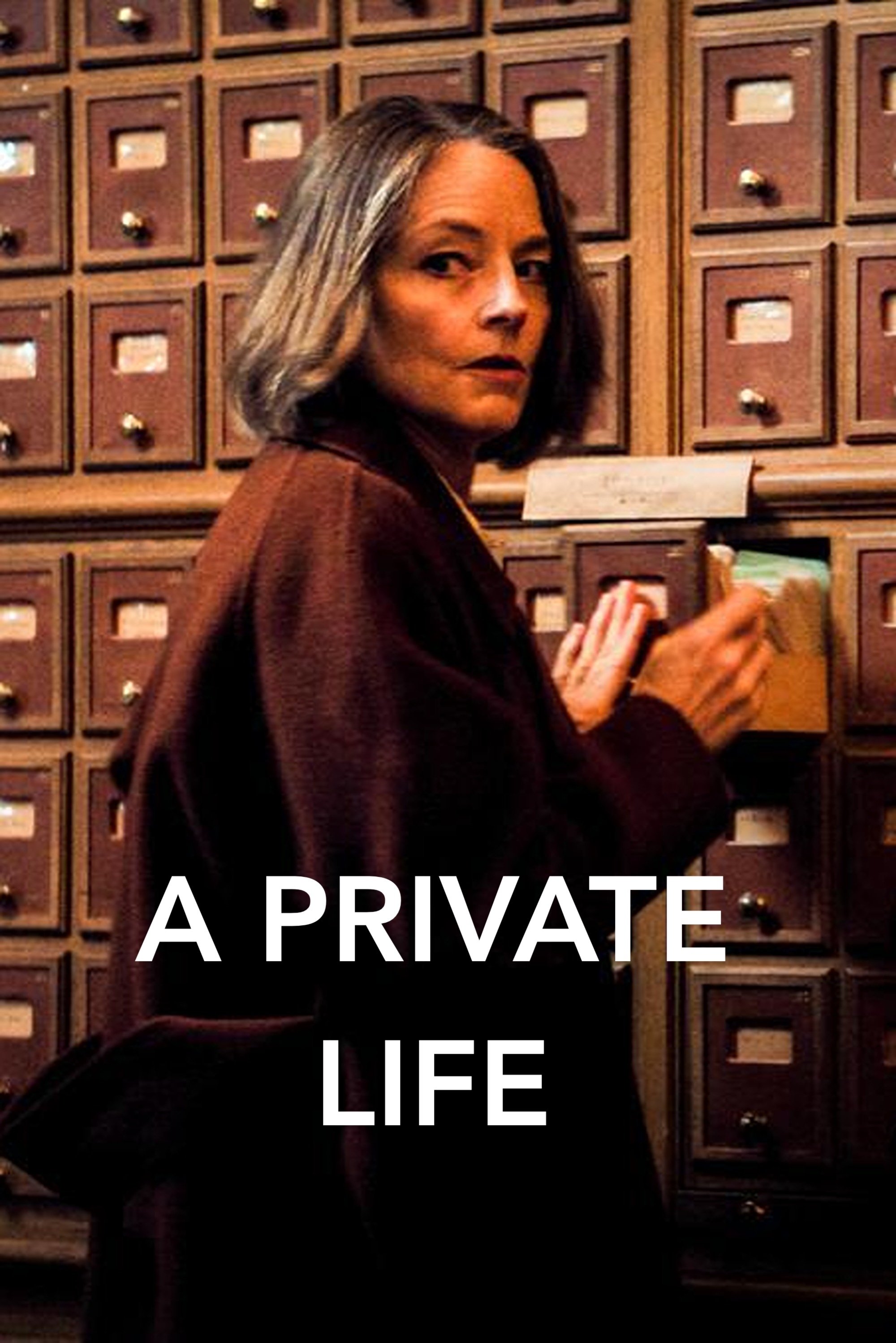 A Private Life Hindi Dubbed Movie Poster (2025)