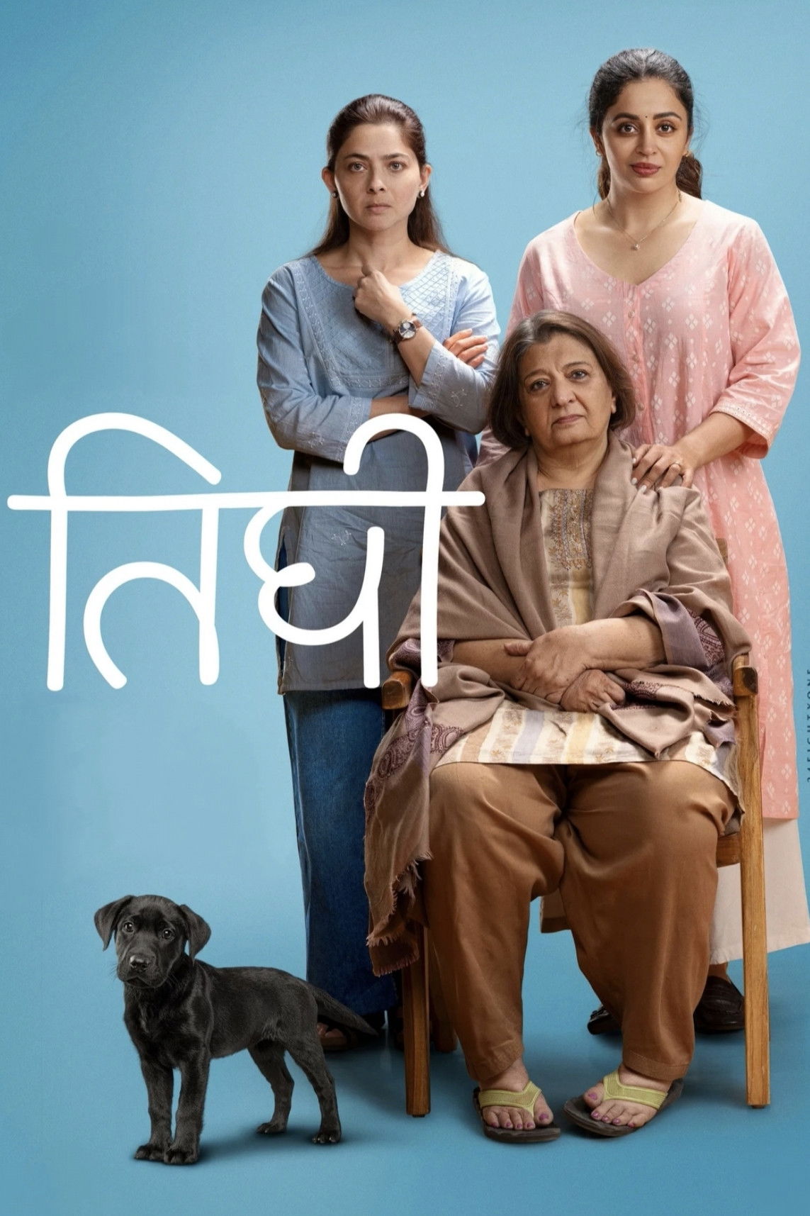 Motherhood Hindi Dubbed Movie Poster (2026)